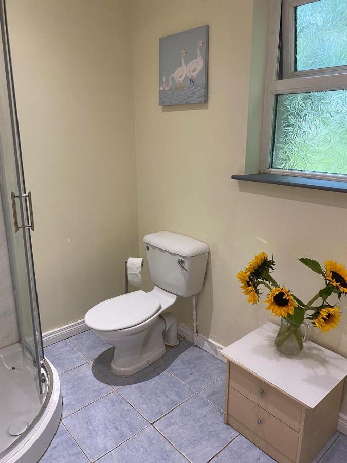 Orchard Lodge Glenavy Екстериор снимка